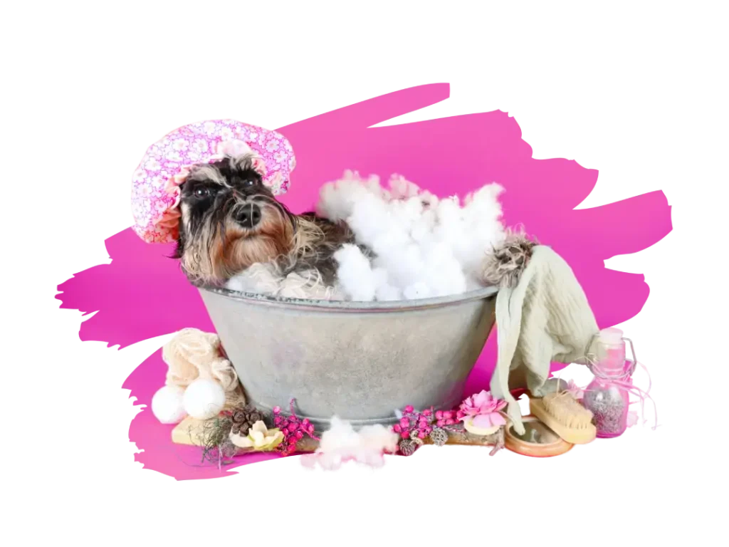 Icon repr&eacute;sentant un chien dans une baignoire