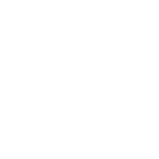Icon expertise