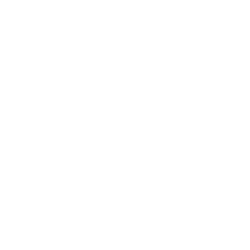 Icon expertise