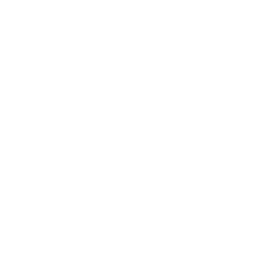 Icon expertise